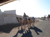 dahab-2007-03