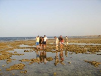 marsa-alam-2007-22