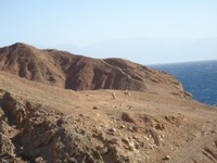 dahab-2007-04